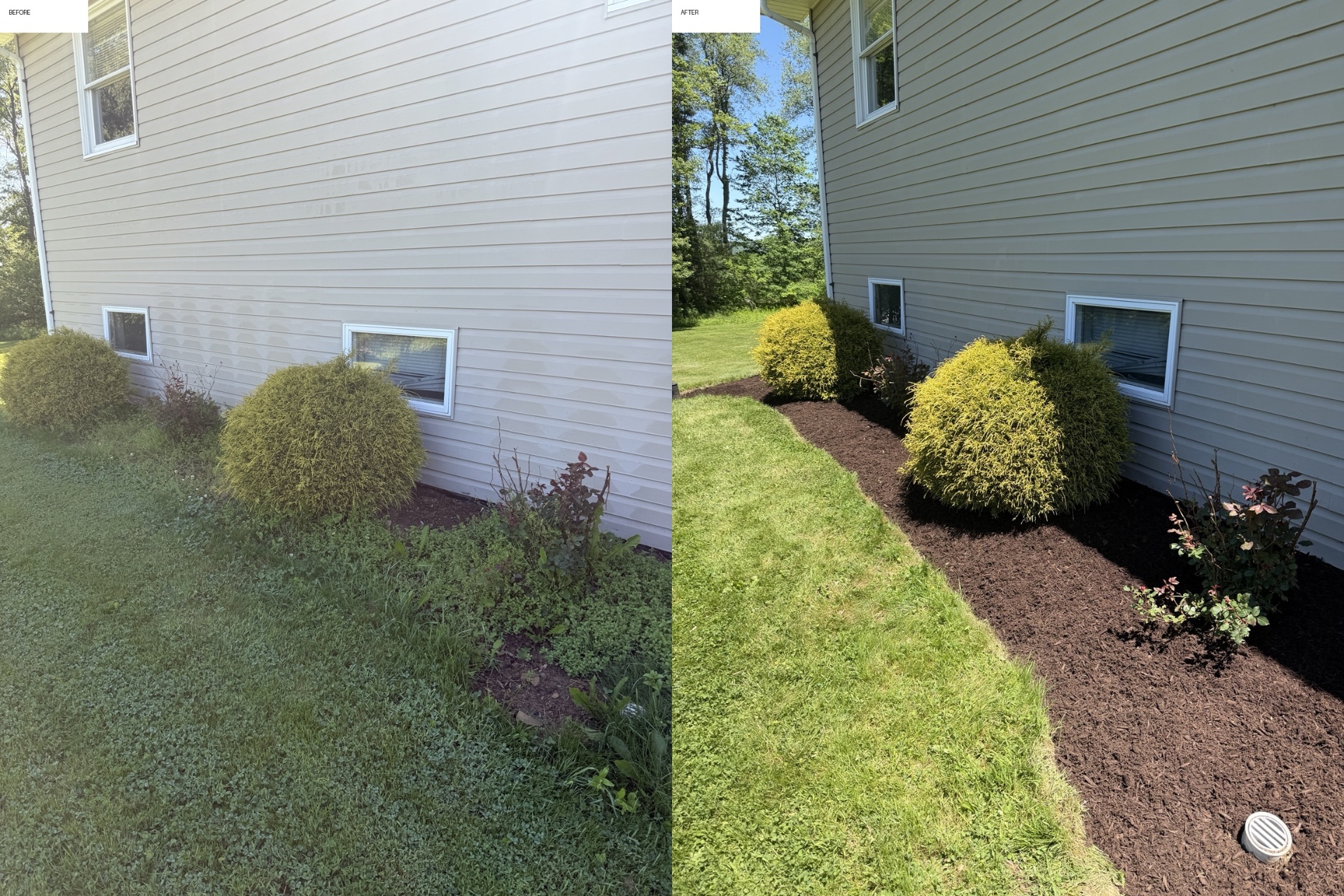 Before and after landscaping — clean mulch bed and trimmed shrubs along home